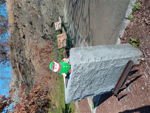 Elfie at bradley rock