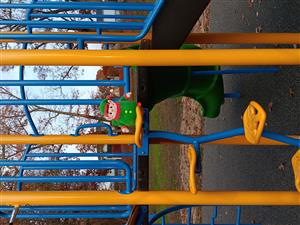 Elfie at our new park